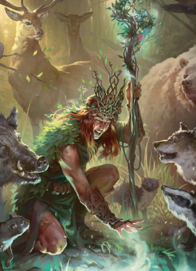 Druide DnD 2024